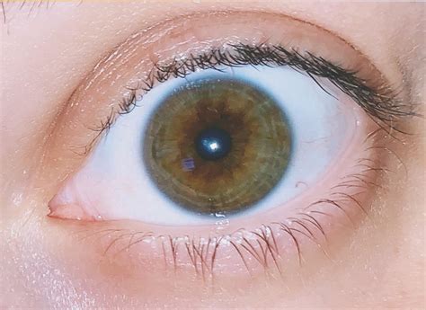 heterochromia brown eyes.